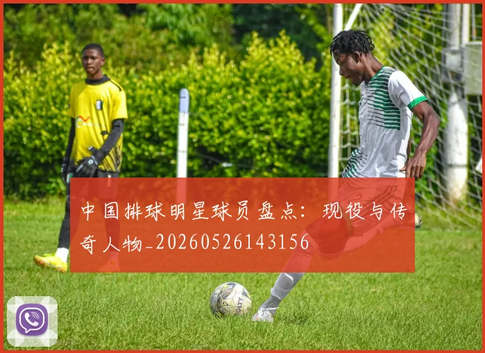 中国排球明星球员盘点：现役与传奇人物_20260526143156