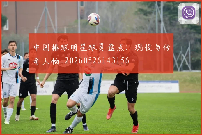 中国排球明星球员盘点:现役与传奇人物_20260526143156